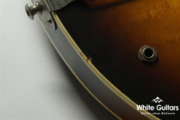 Aria Pro II CA-100-S SB